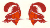 Bucs 1976-1996 mini helmet decals 